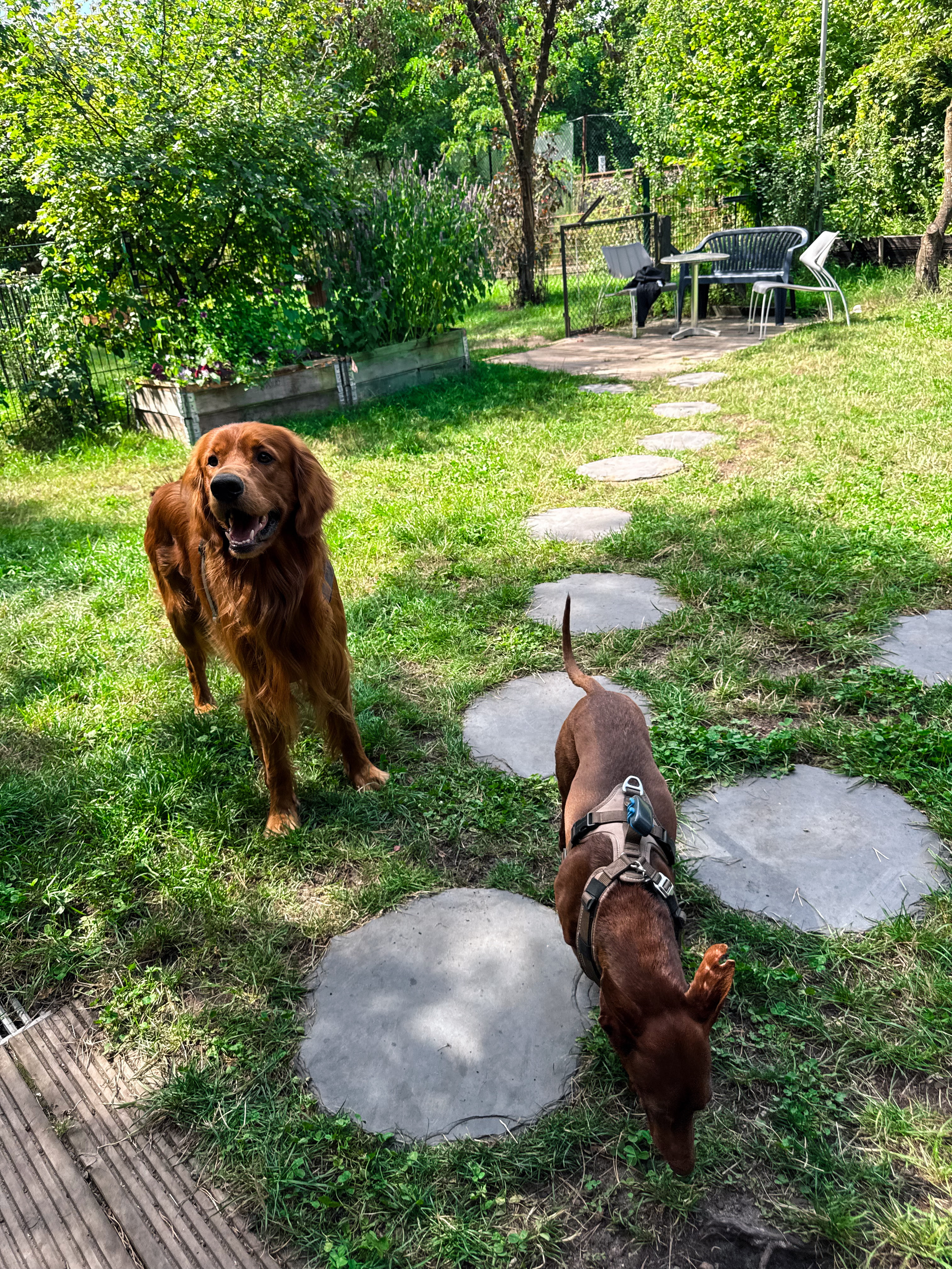 Bild 11 Dogcoach Hundezentrum in Berlin