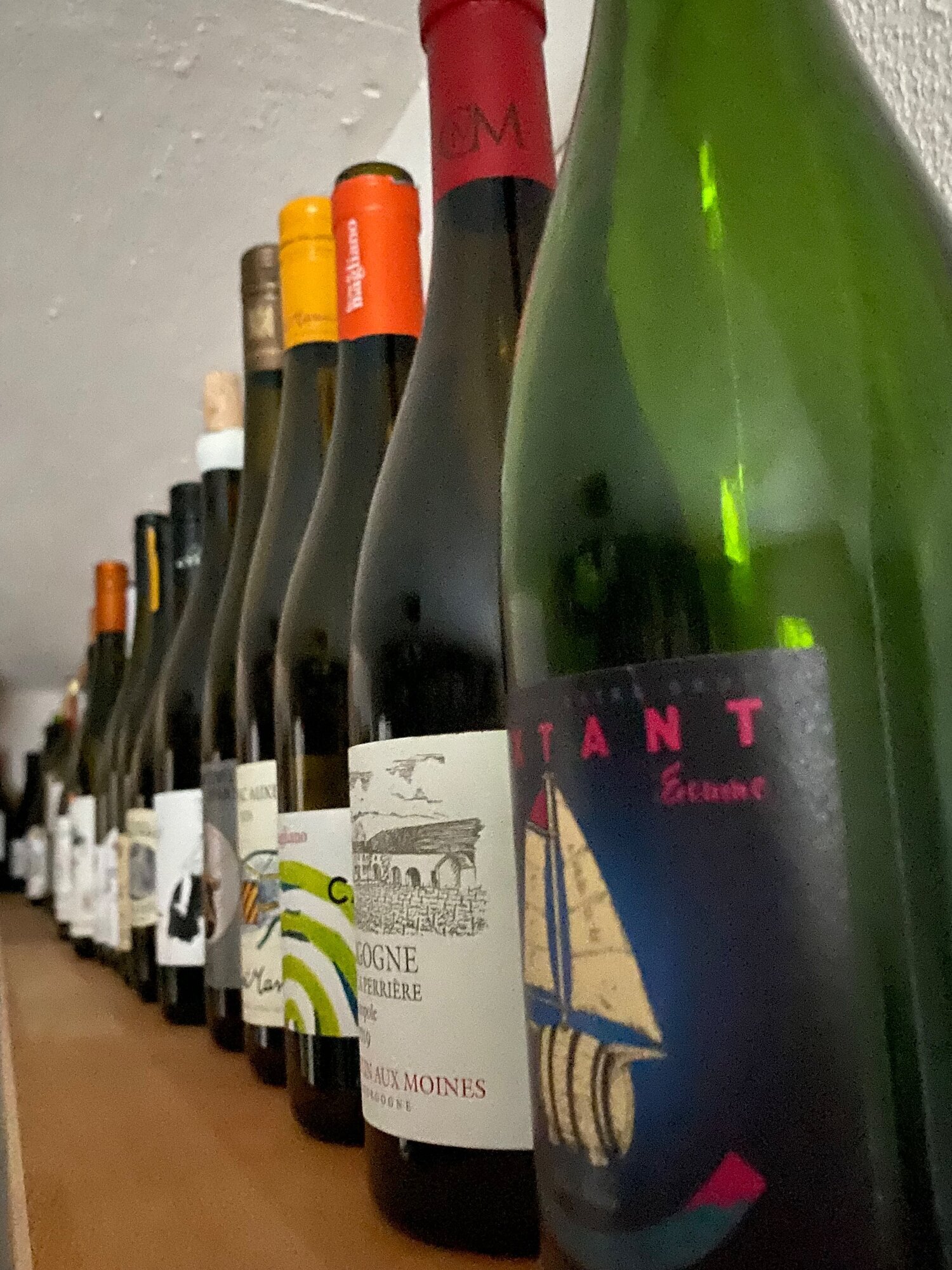 my-Biowine - Günter M. Rindt, Feilitzschstraße 3 in Memmingen