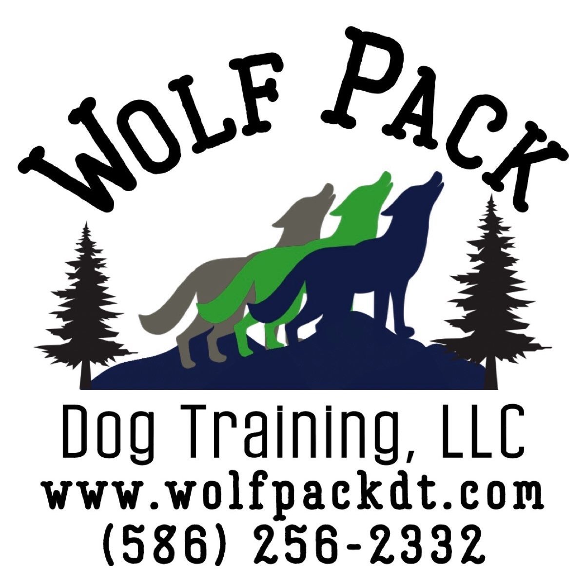 company logo