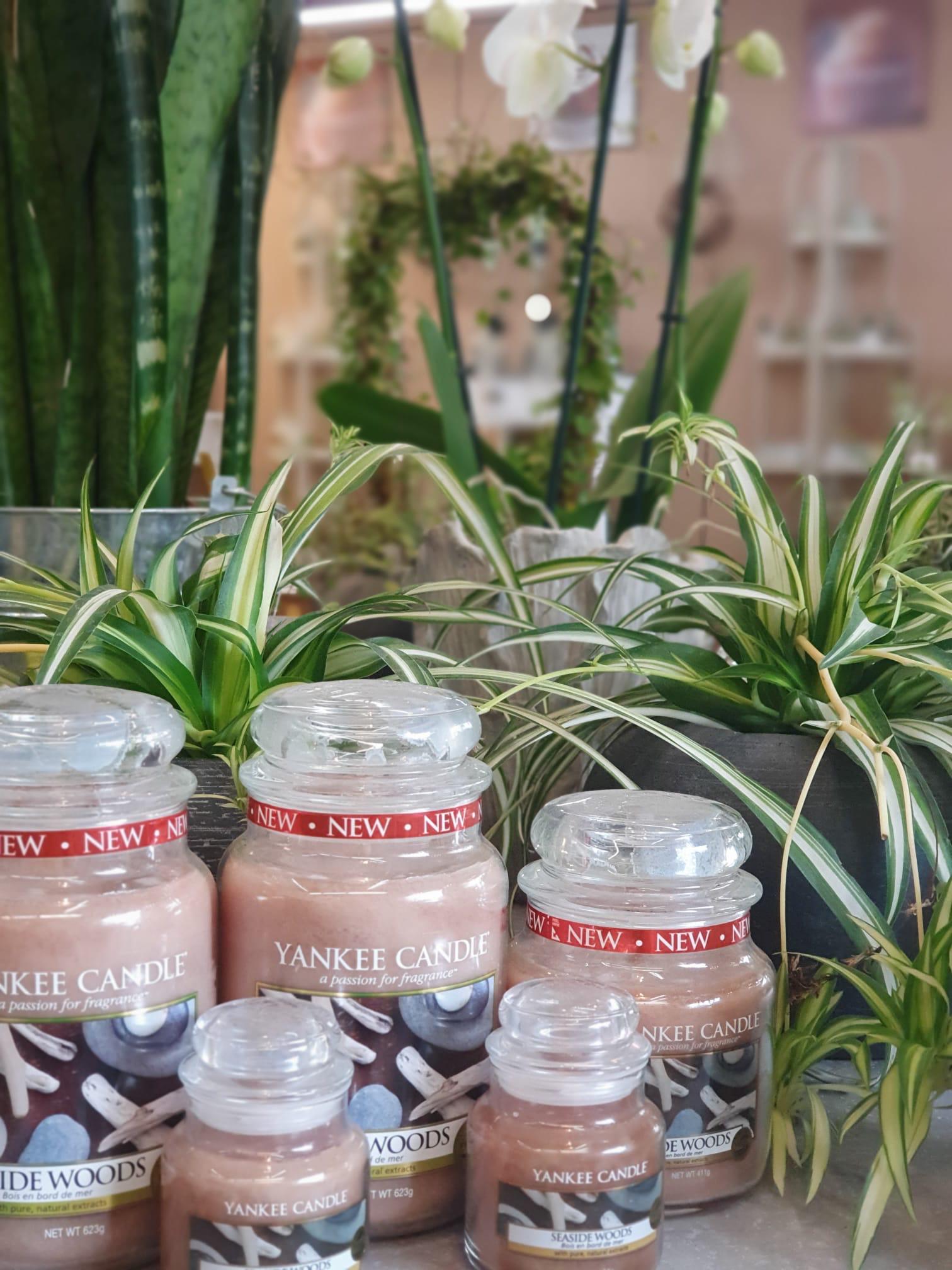 Bluemeträff Martin von Bergen GmbH, Wildenstrasse 14 in Neuhausen am Rheinfall