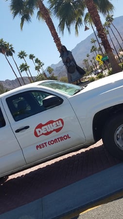 Images Dewey Pest & Termite Control