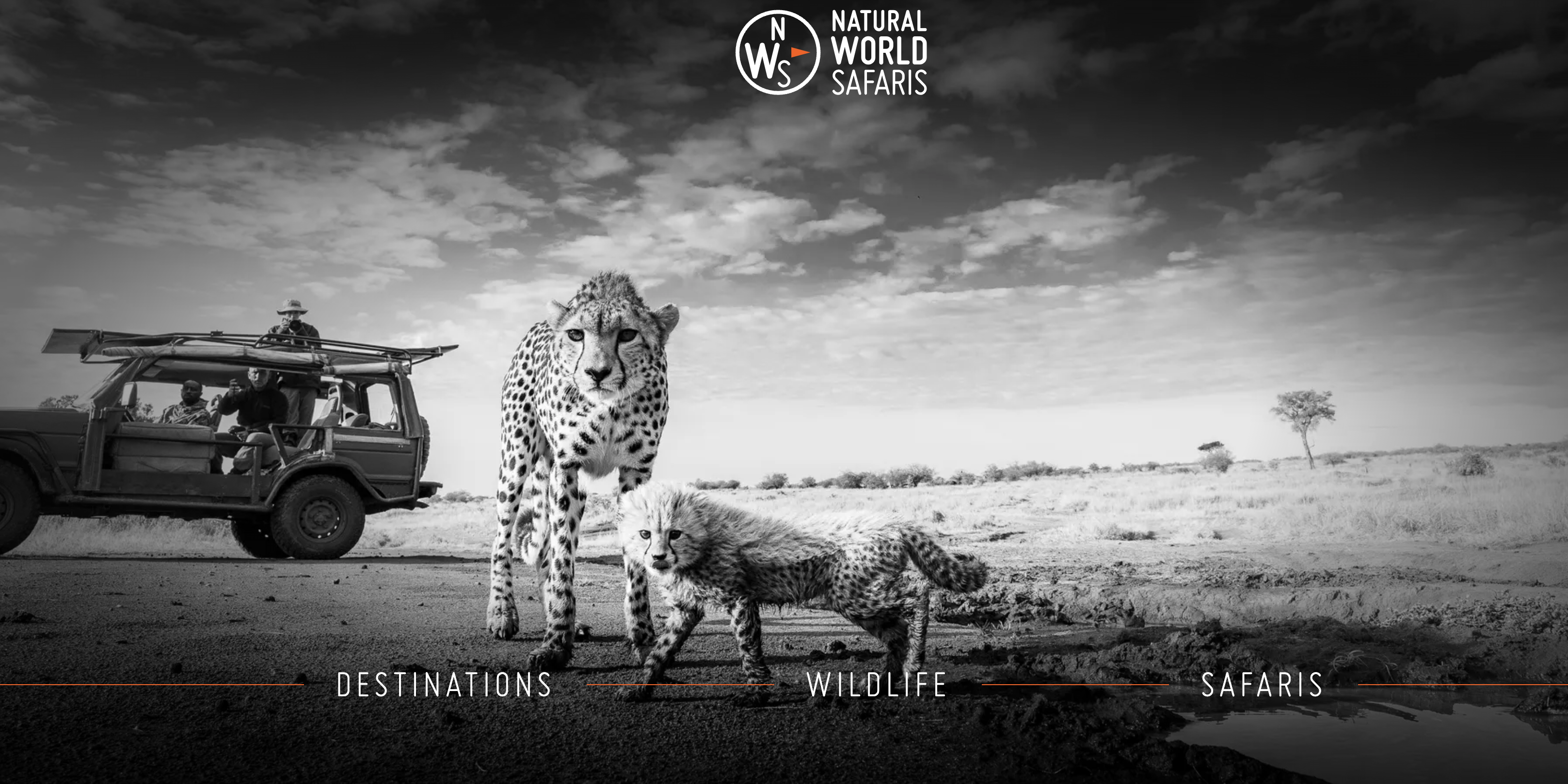 Images Natural World Safaris Ltd