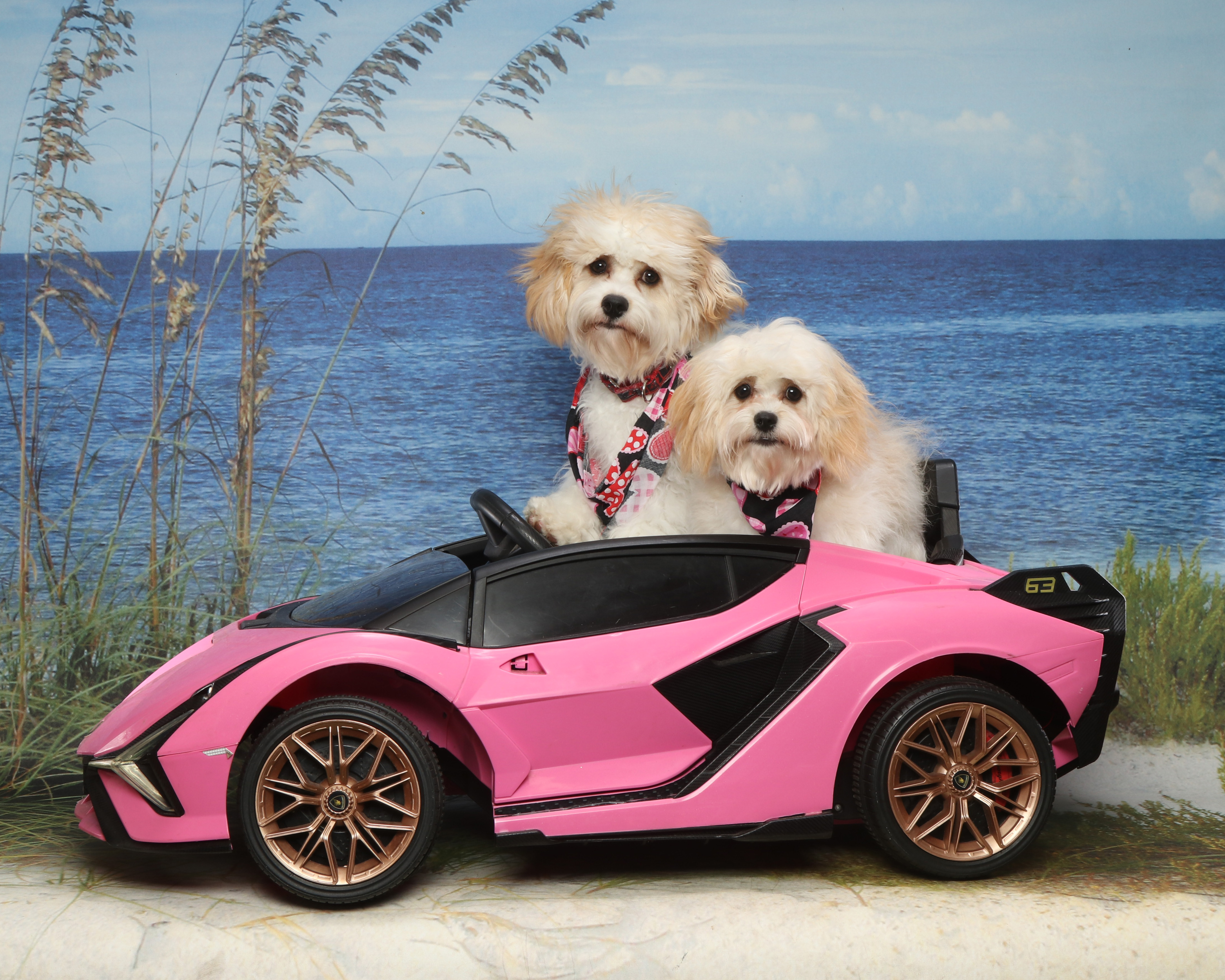 Jim Harris Photography Image