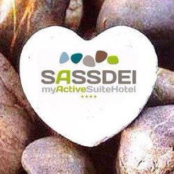 Sassdei Suite Hotel - Andalo Logo