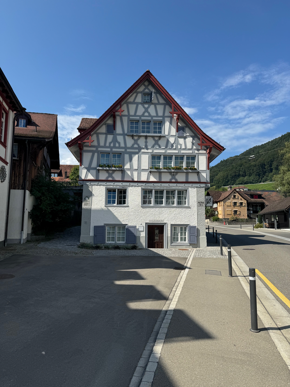 Bilder Polugic-Lötscher AG