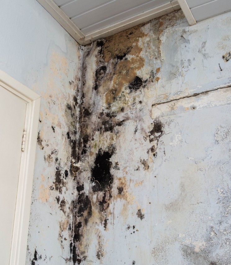 BWM Basement Waterproofing of Michigan Image