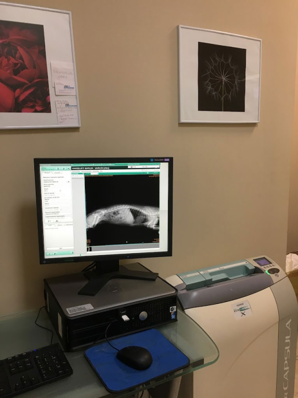 Images Clinica Veterinaria Dr. Maruska Fossi