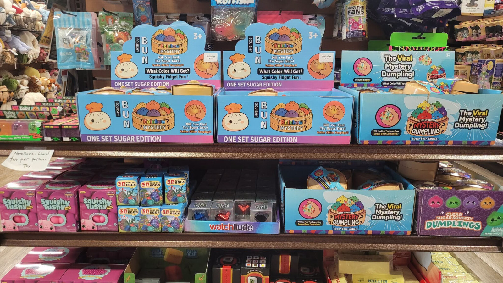 Colorful Mystery Dumpling squishy toys, blind-box eggs, Squishy Tushy figures, and other fun sensory 
