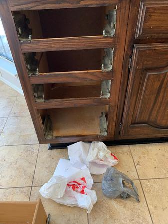 Images Tidy Upped Cleaning Services