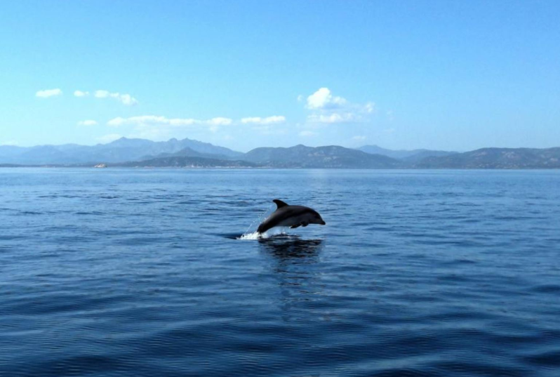 Images Giochi Gonfiabili Acquatici a Cala Banana