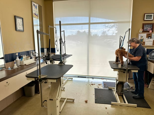 Images Petco Grooming