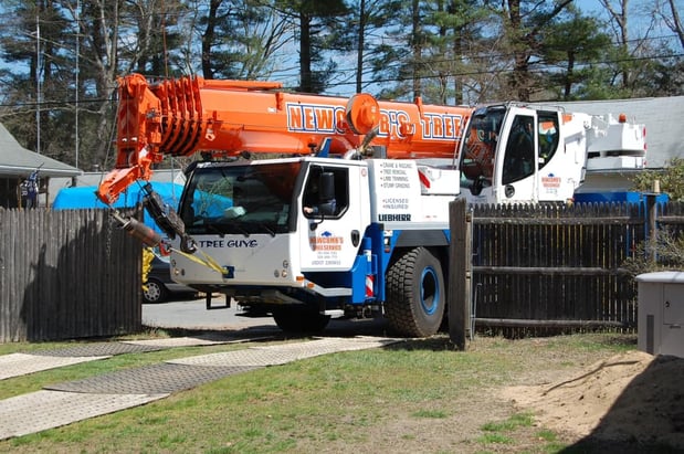 Images Newcomb's Tree Service, LLC