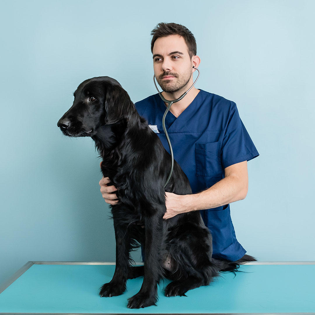 Andi Keller Fotografie + Film, Langgasse 136 in St. Gallen