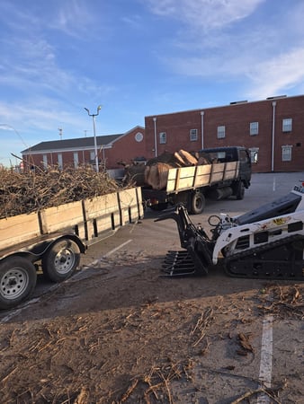 Images Busy Boy Tree Services