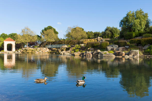 Images Gina Piper | Elation Real Estate