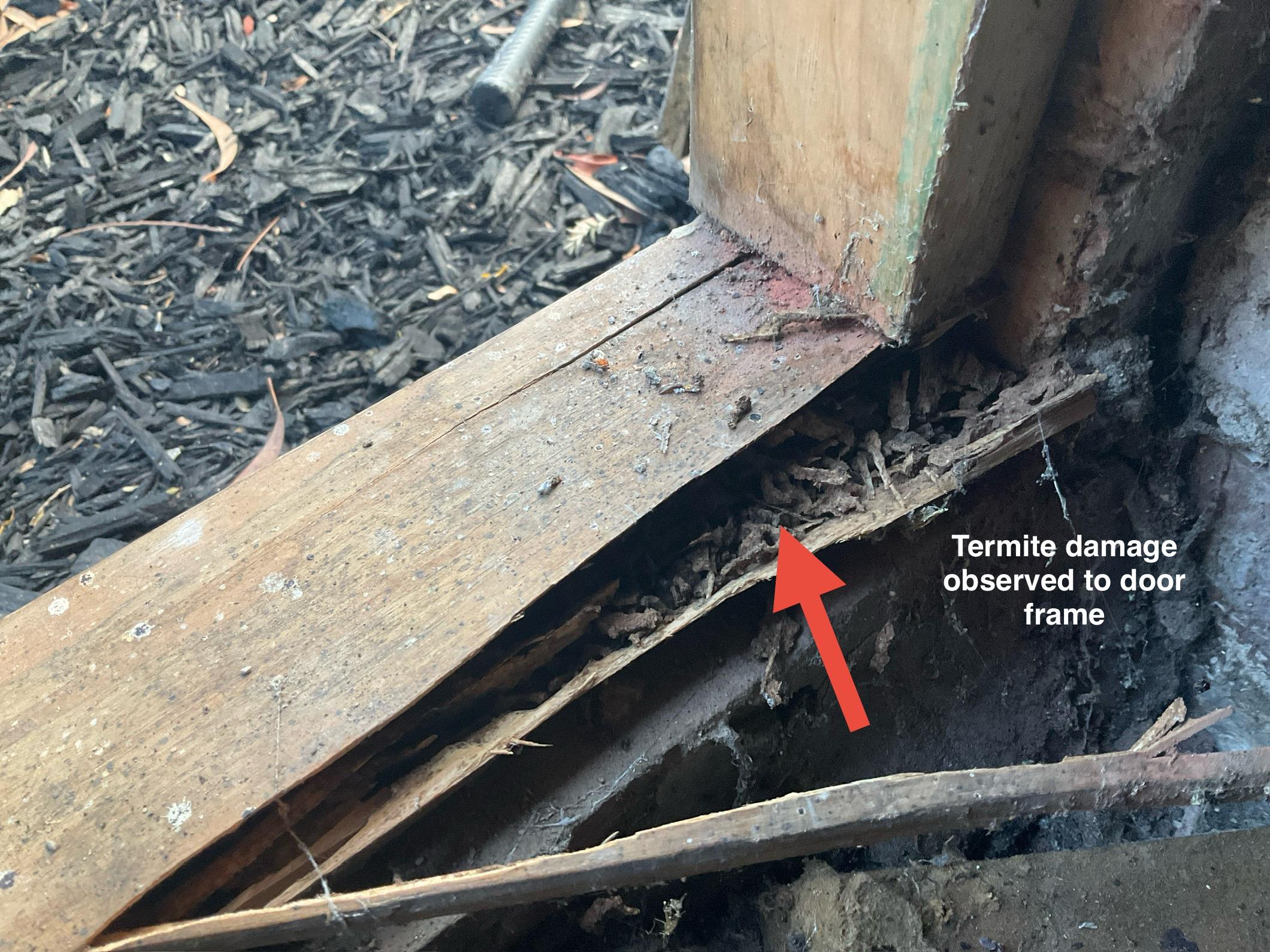 Images ACE Building and Pest Inspection