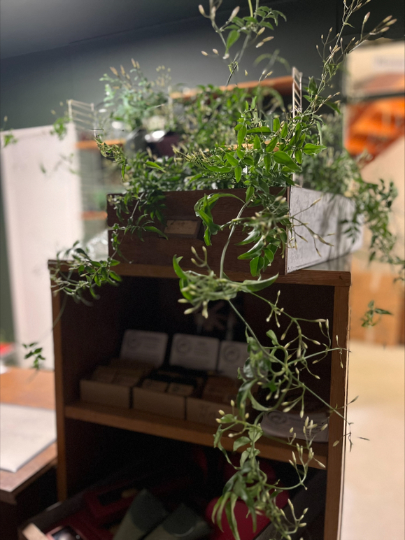 Images Holmers Blomsterhandel