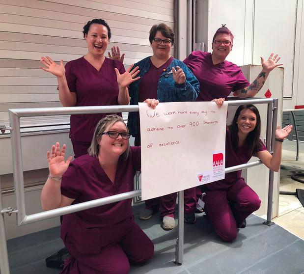 Images Upstate Vet Emergency & Specialty Care - Greenville