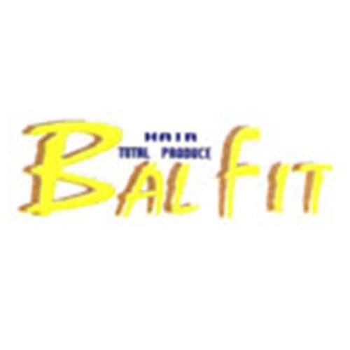 BALFIT～バルフィット～ Logo