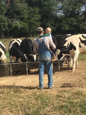 Images Emily's Livestock family raised beef, pork, lamb and tallow skin care