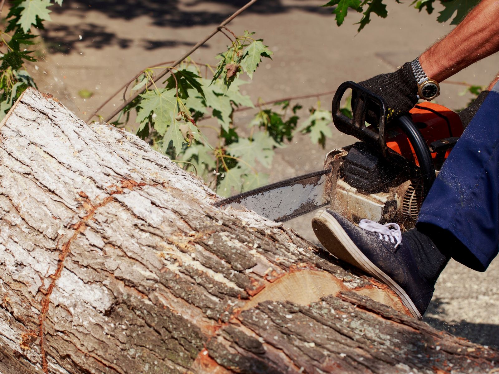 Palencia Landscaping & Tree Service Inc