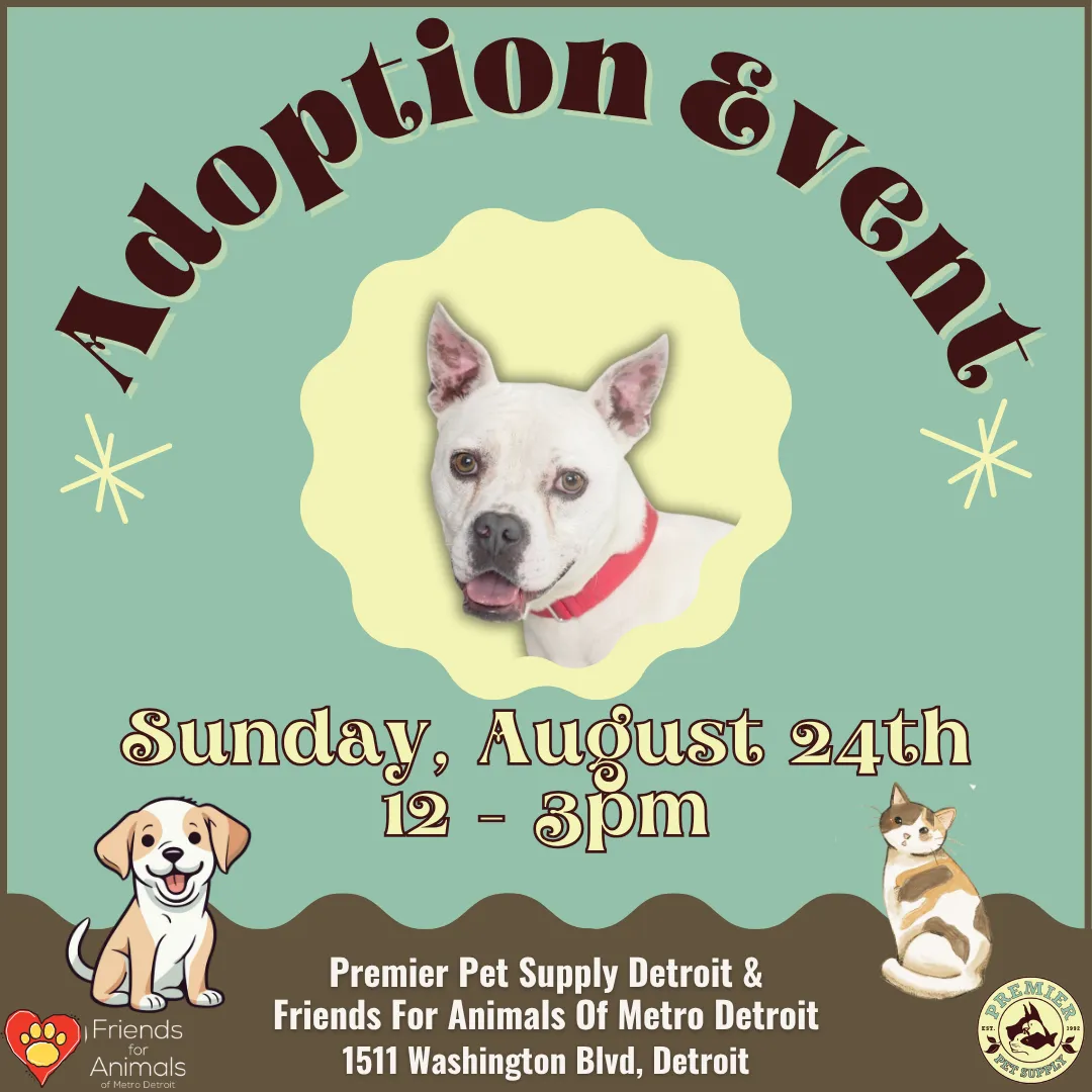 Friends For Animals Of Metro Detroit Adoption Site Friends For