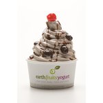 Earthfruits Yogurt Logo
