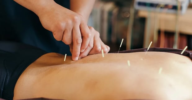 Images Vine Performance Therapy & Wellness