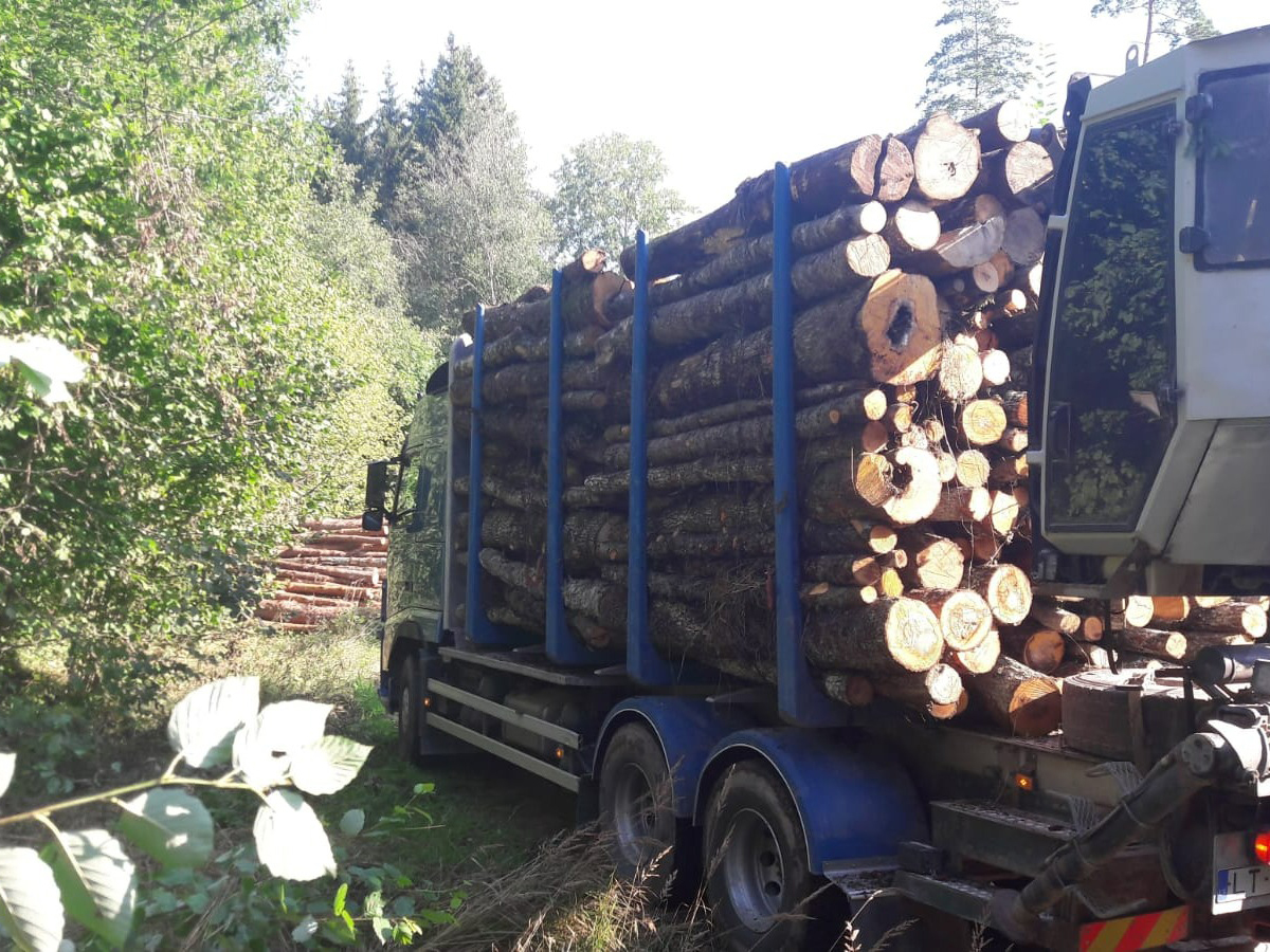 Mežmikeļi koksnes pārvadājumi Latvijā