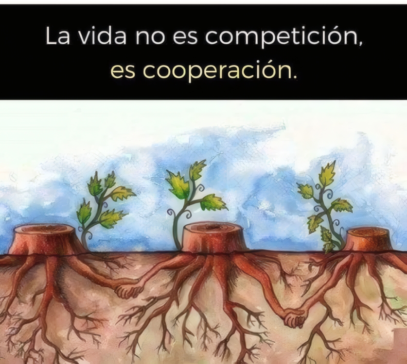 Images Sdl Investigacion Y Divulgacion Del Medio Ambiente S.L.