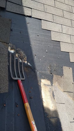 Images Blue Ribbon Roofing LLC - Jersey Village Roof Replacement