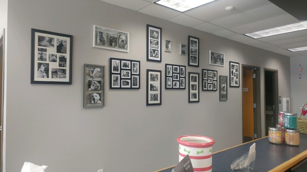 Images VCA Animal Care Hospital