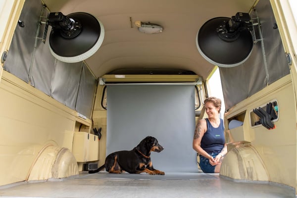 Fotogebell Hundefotografie - Carsten Pöhler Hund sitzt vor grauem Hintergrund im mobilen Studio, professionelle Hundefotografie Münster mit moderner Technik und ruhiger Atmosphäre.