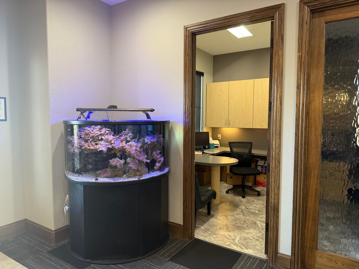 iKids Pediatric Dentistry - Burleson Image