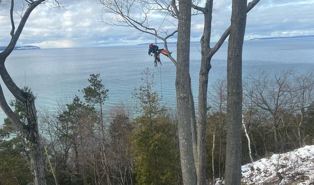 Images Deering Tree Service