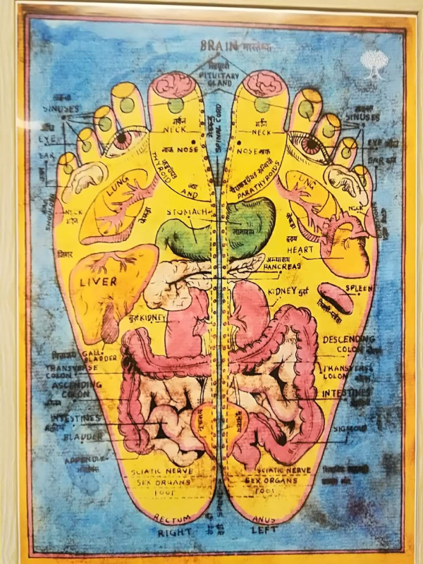 Images Studio Olistico La Luce del Benessere