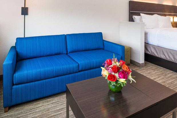 Images Holiday Inn Express & Suites Tampa North - Wesley Chapel by IHG