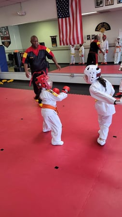 Images Jaguar Dojo