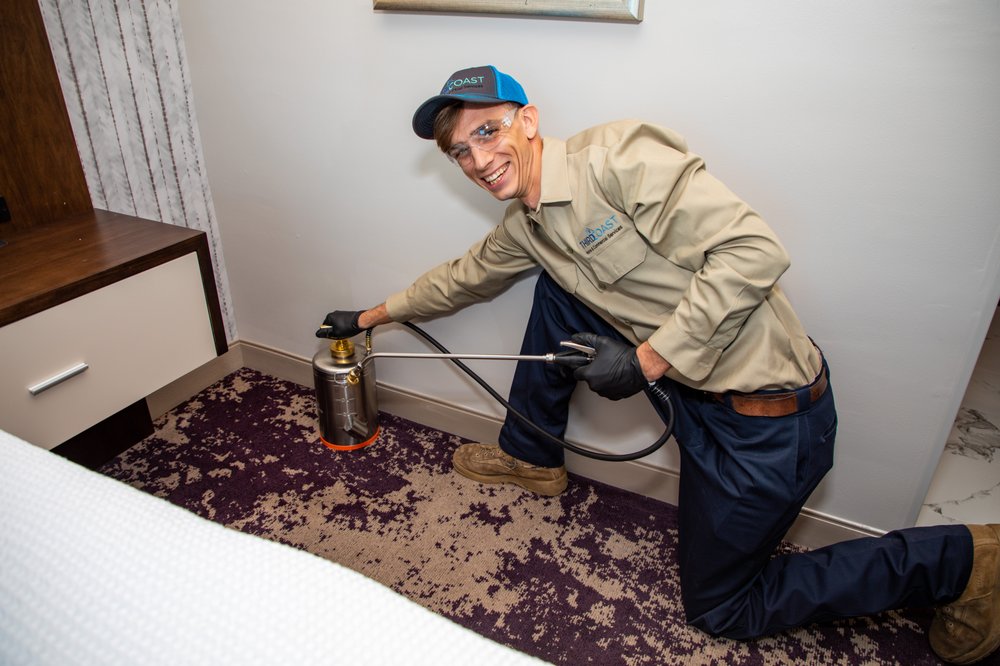 Treating a hotel room for general pests