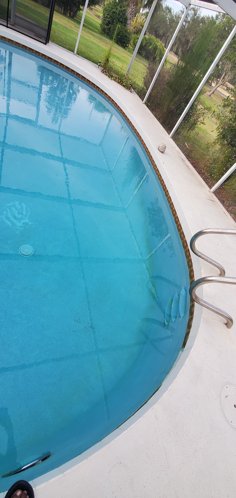 Screen-enclosed residential swimming pool with clear blue water, curved edges, and a stainless steel ladder.