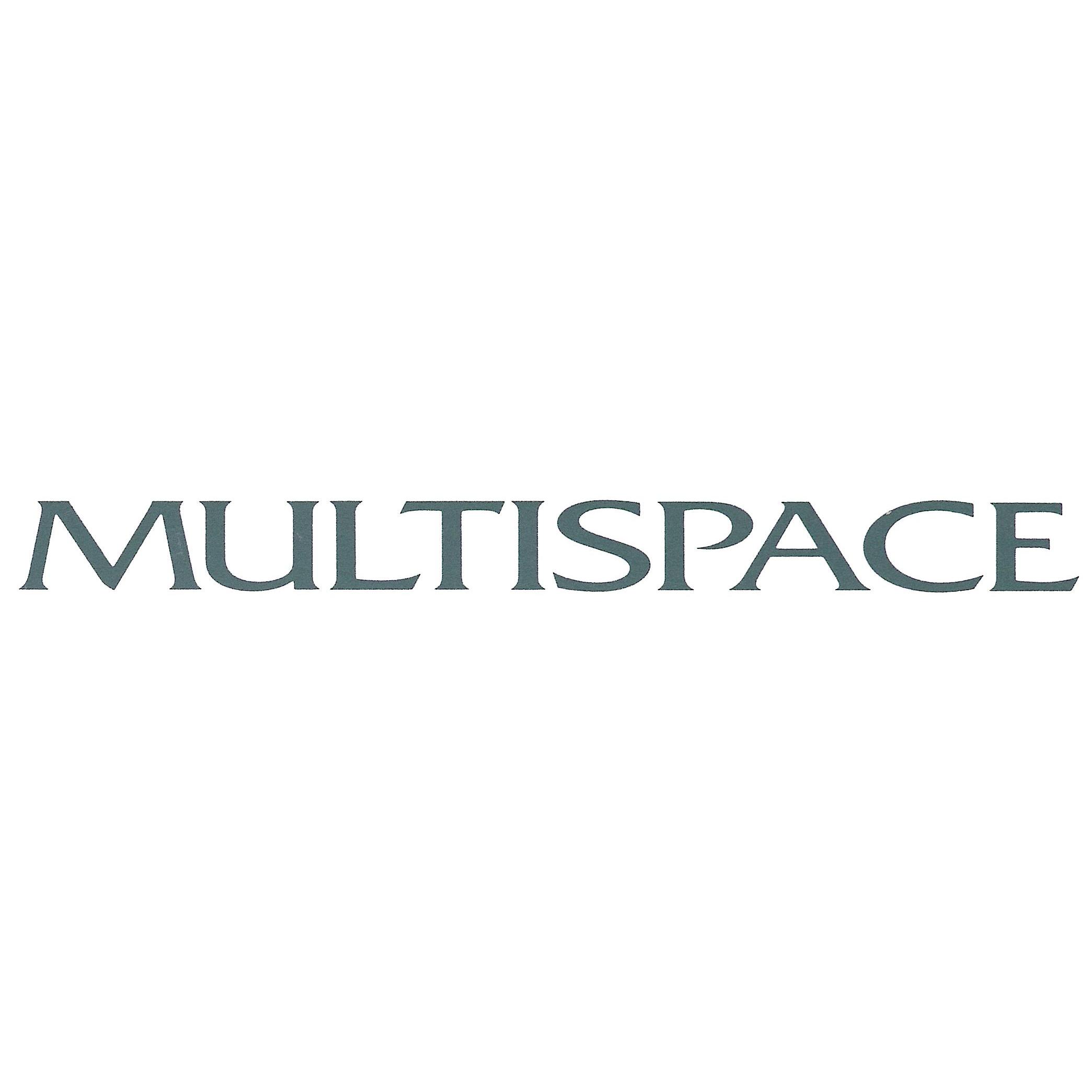 Multispace AG Logo