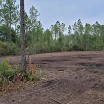 Images J & M Forestry and Mulching LLC