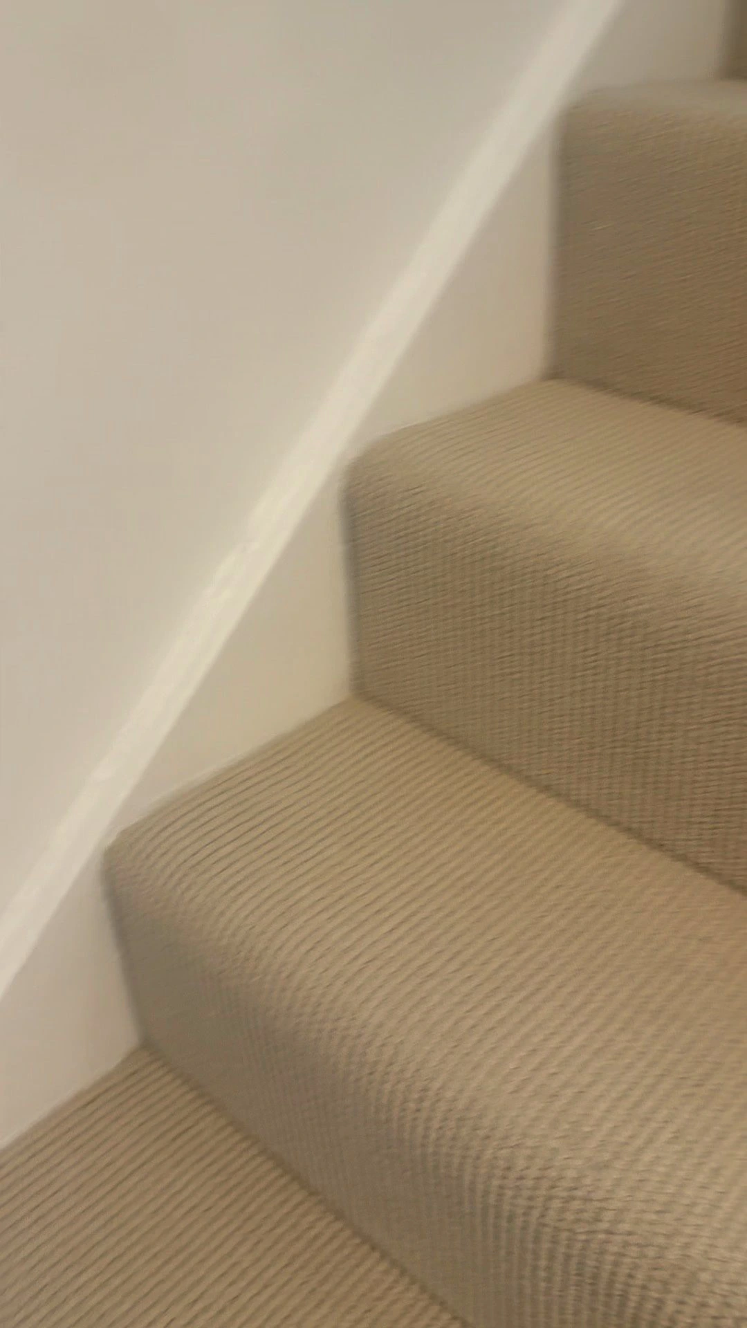 Images Rose The Cleaning Fairy Specialist