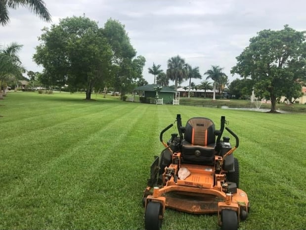 Images MD professional Lawn Mowing