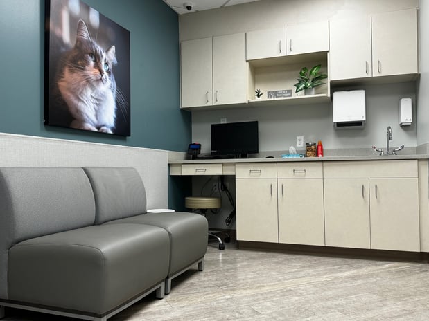 Images VCA Cottonwood Animal Hospital