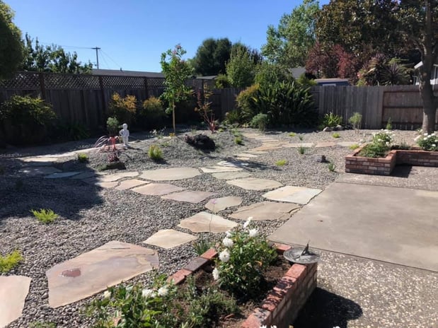 Images Paz Landscape