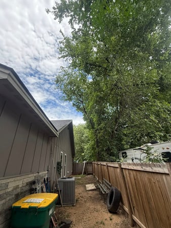 Images Twisted Oaks Tree Services LLC