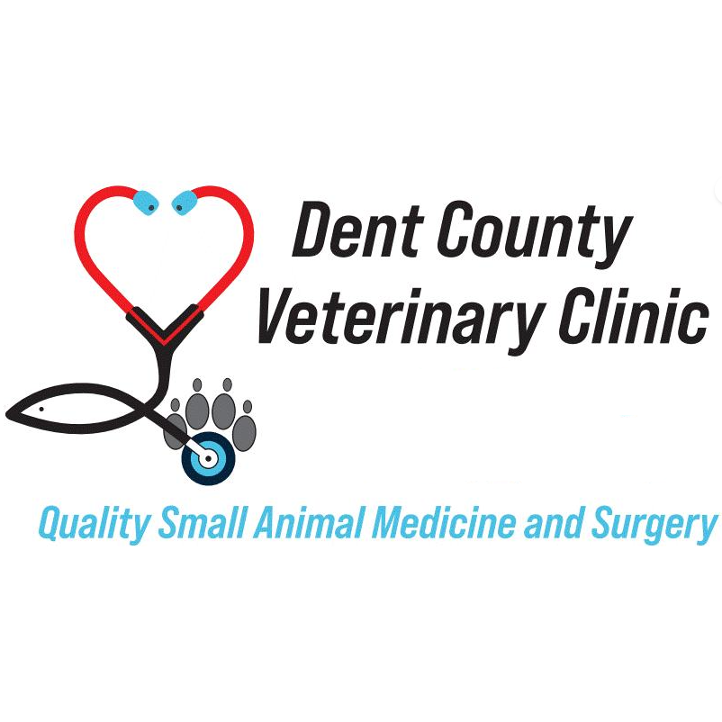 Dent County Veterinary Clinic - Salem, MO 65560-1200 - (573)729-6100 | ShowMeLocal.com