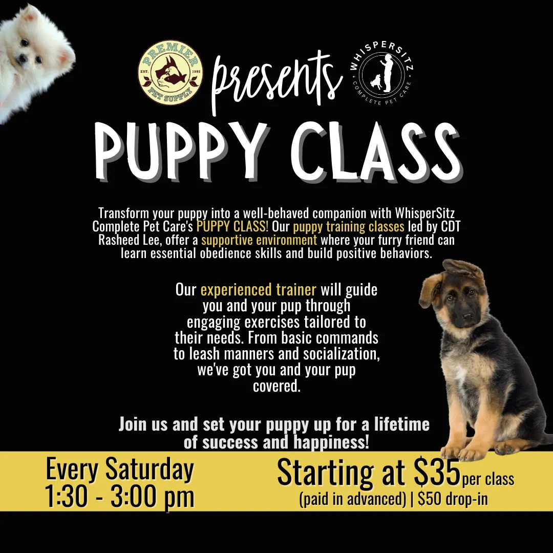 Image of Local Pet Event WhisperSitz Puppy Training Class | Beverly Hills Nearby