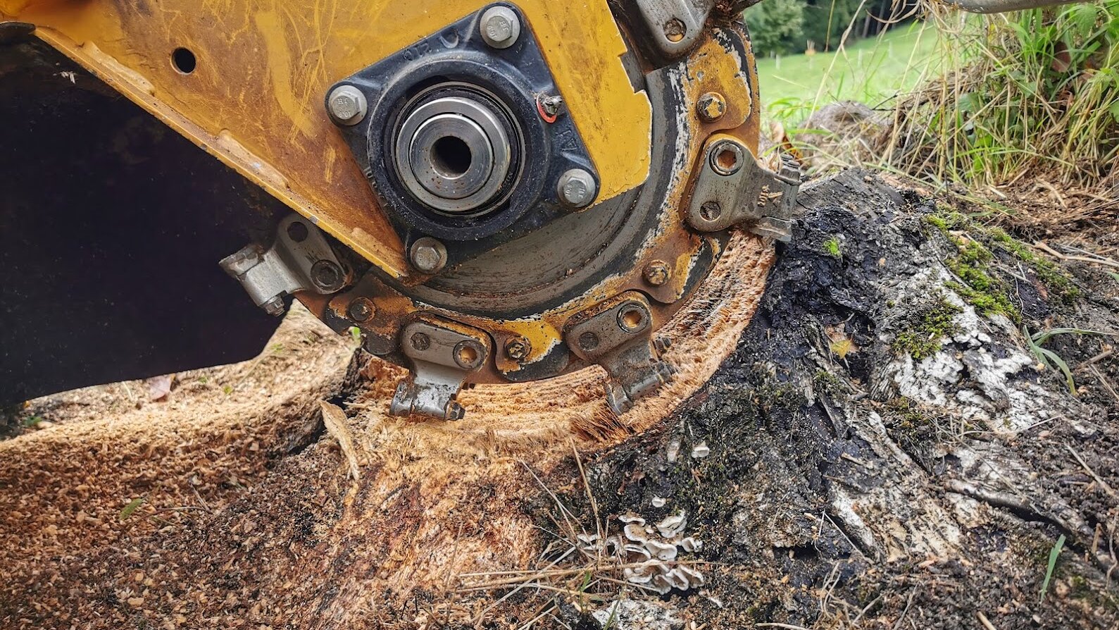 Baumstumpffräsen Tobias Baier, Mangfallstraße 16B in Bad Aibling